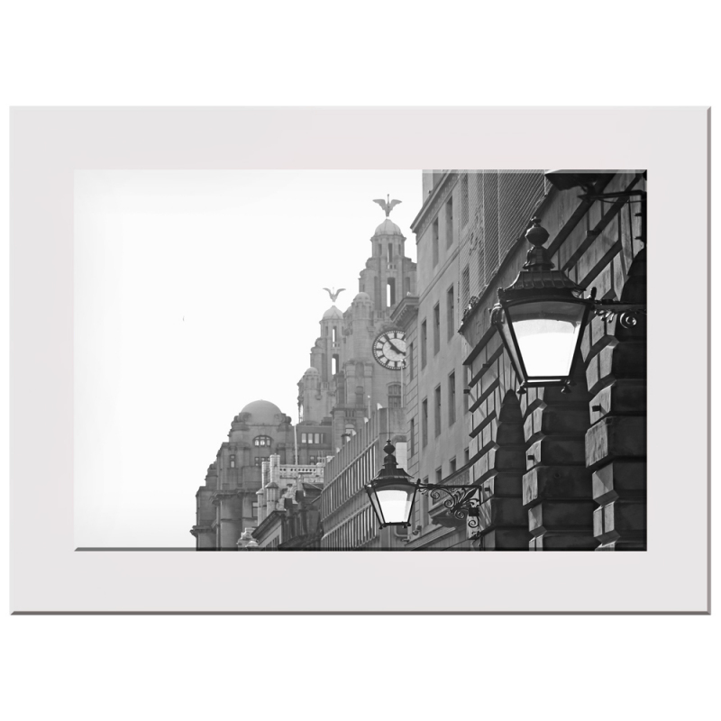 Liver Building &Town Hall Print